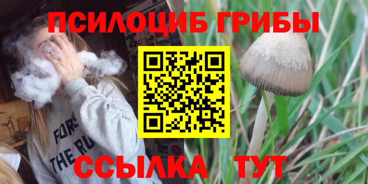 Галлюциногенные грибы GOLDEN TEACHER Копейск