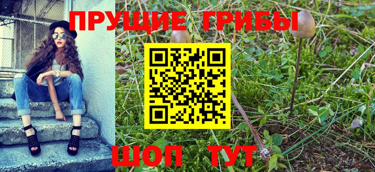 Галлюциногенные грибы Magic Shrooms  как найти наркотики  Копейск  Вход с VPN 